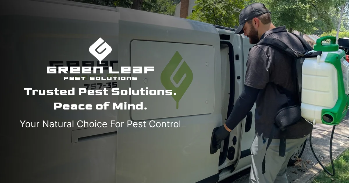 Pest Control Company in Chesapeake | Green Leaf Pest Solutions
